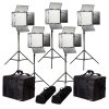 Rayden Daylight 5-Point LED Light Kit w/ 5x RW10 Includes Gold & V-Mount Battery Plates, Stands, and Bags